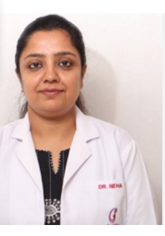 Naithani anchal
