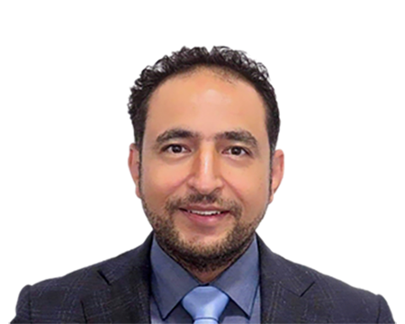 Professor Ahmed Allam