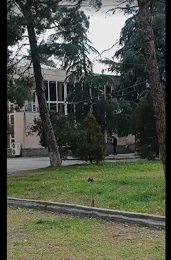 Central maternity hospital of Rustavi