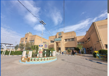 Shafa Hospital