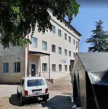 Geo Hospitals Borjomi