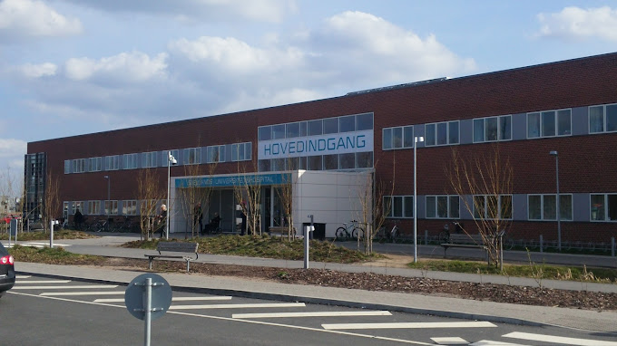 Zealand University Hospital