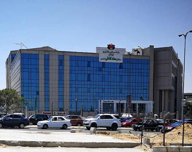 The Memorial Souad Kafafi University Hospital