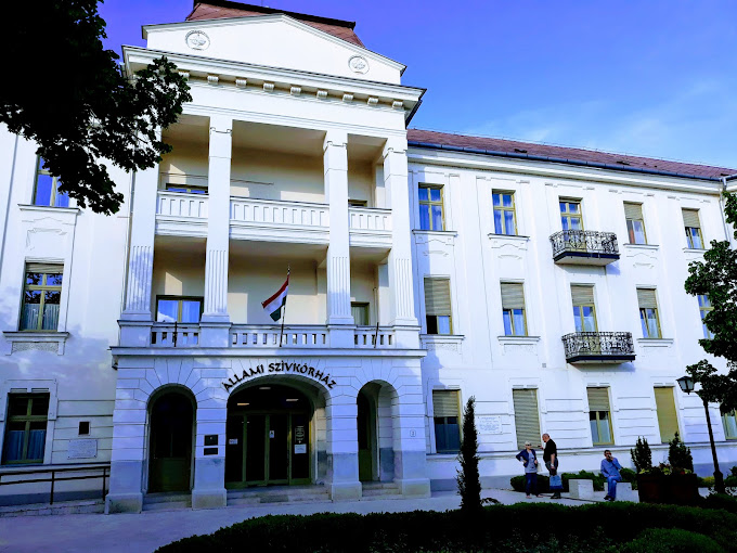 State Heart Hospital