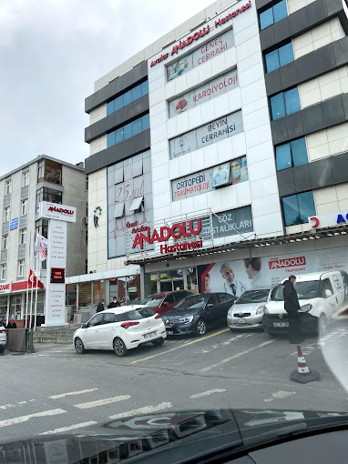 Avcilar Special Anadolu Hospital