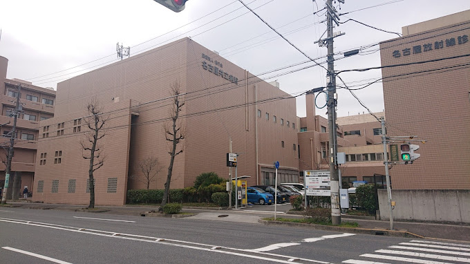 Nagoya Kyoritsu Hospital
