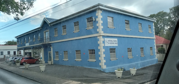 National Council on Substance Abuse