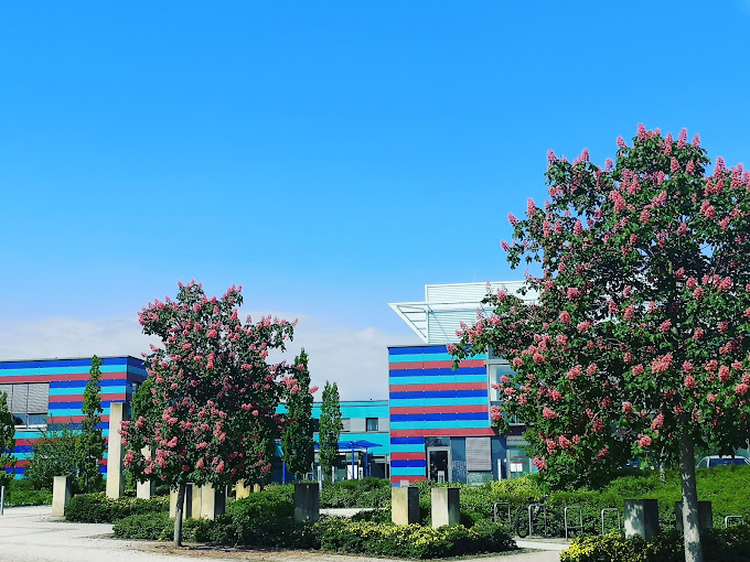 Robert-Koch-Krankenhaus Apolda Gmbh