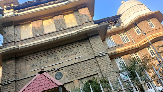 Wadia childrens Hospital