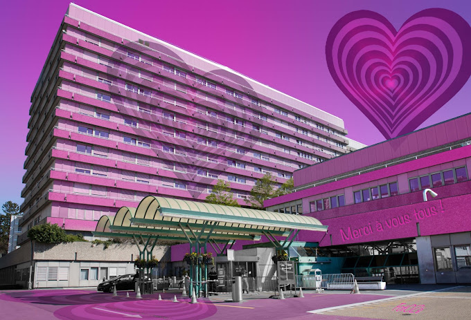 Lausanne University Hospital