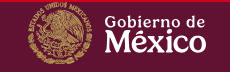 Issste Gomez Palacio