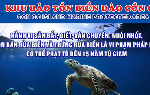 Trạm cứu hộ Rùa biển tại Quảng Trị