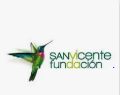 San Vicente Fundación