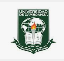 Universidad de Zamboanga Medical Center, Inc.