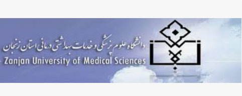 Ayatollah Mousavi Hospital