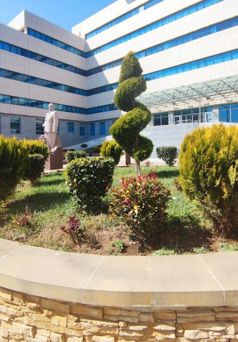 DTX Hospital