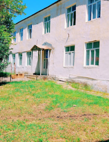 Lerik rayon uşaq xəstəxanası