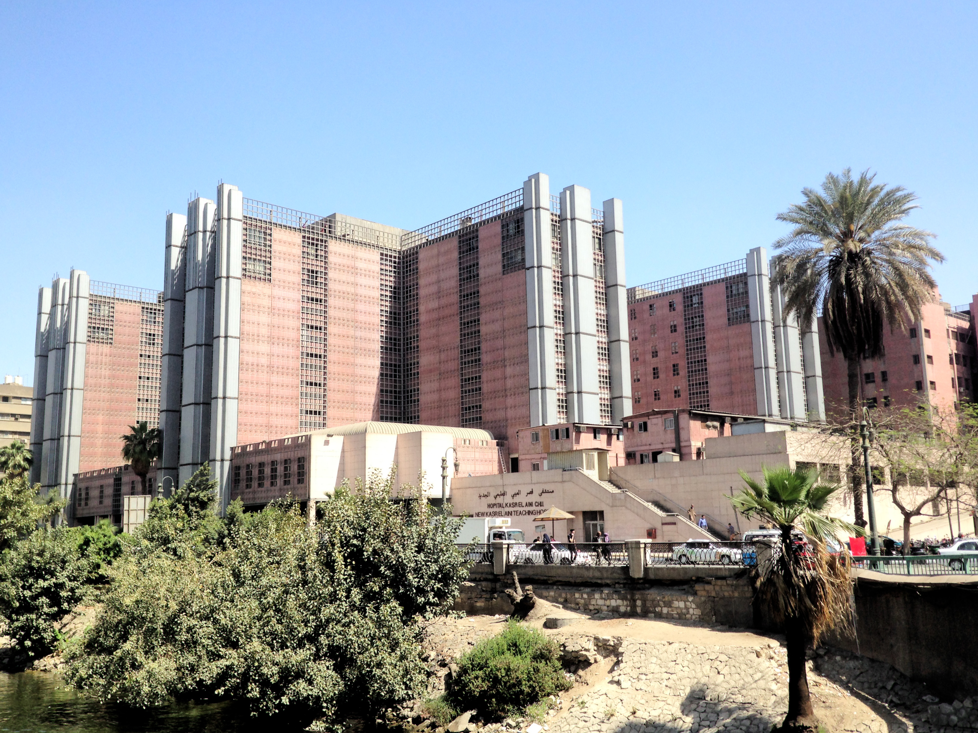 General Director, Cairo University Hospitals