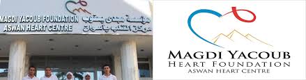 Fever Edfu Hospital