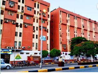 Banha University Hospital
