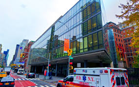 NYC Health + Hospitals Bellevue