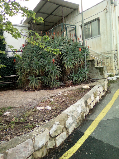 Kfar Shaul Mental Health Center