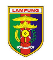 Rumah Sakit Umum Daerah Bandar Negara Husada Provinsi Lampung