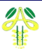 Amaltas Hospital Dewas