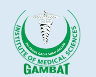Pir Abdul Qadir Shah Jeelani Institute of Medical Sciences, Gambat