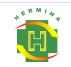 RS Hermina Aceh
