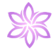 PULSE MEDICARE HOSPITAL PVT LTD