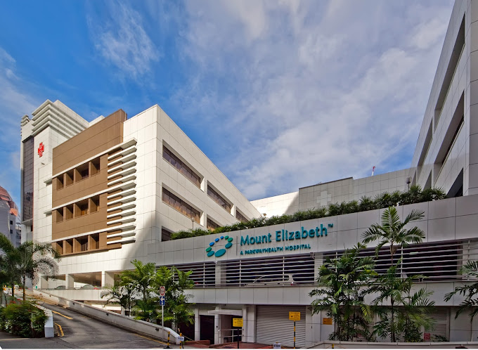 Mount Elizabeth Hospital