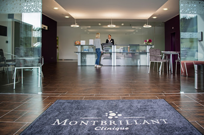 Clinique Montbrillant