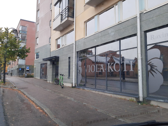 Viola-kotiyhdistys ry
