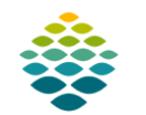 Northern Light Walk-In Care