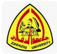 Zagazig University Hospital and Emergency Department