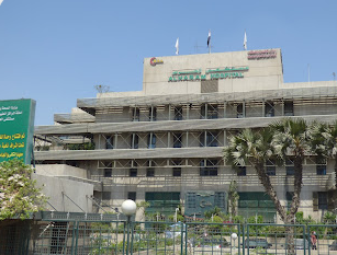 El Mansoura International Hospital